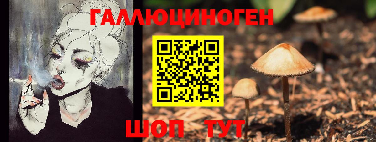 Галлюциногенные грибы Cubensis Кандалакша