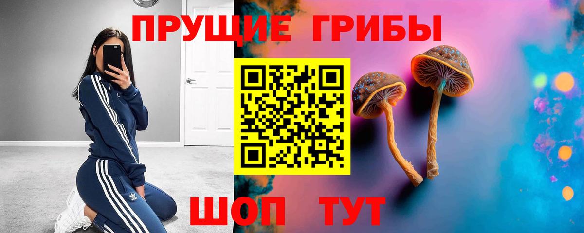 Псилоцибиновые грибы Magic Shrooms  Псилоцибиновые грибы GOLDEN TEACHER  Вход с VPN  Кандалакша 